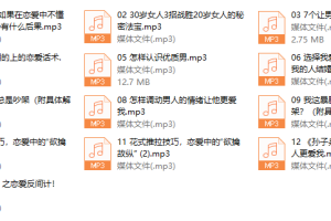 一个人听的恋爱技巧