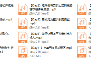 chic原醉-你的王子你做主