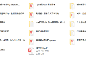 17本恋爱撩汉心法书籍