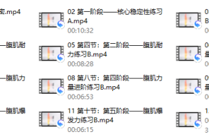 12节课，4分钟腹肌马甲线专项系列课（完结）
