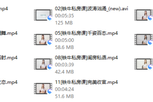 2018年闺房秘术私教课