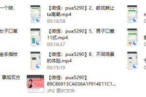 xingai大师私教课