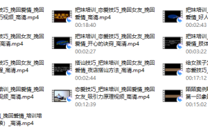 爱情体系挽回学院