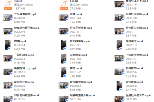 辛健增肌训练营