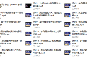 网易云课堂《手机摄影大师》