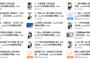 2017年《吴克群私教视频课》