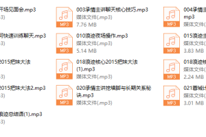 浪迹蓉城计划完整线下录音