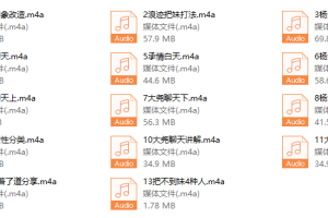 浪迹最新蓉城计划完整线下录音