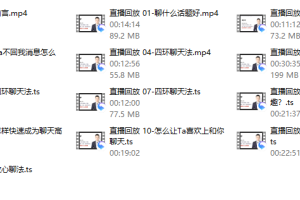 麦坤《恋爱脱单聊天课》