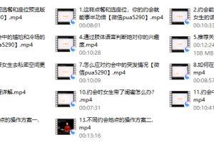 【魅力工程】高分攻略