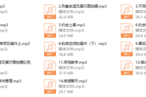 绅士派《老佟私教2.0》
