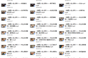 绅士派《撩道》