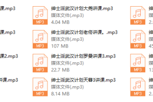 绅士派《武汉计划3天2夜》