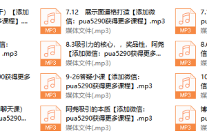 2017年《迷宫导师私教》