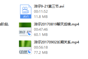 2017年《洋仔私教》