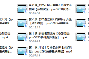 2017年痴情叔《聊天恋爱教程》