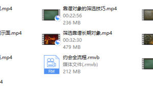 痴情叔——把妹视频课