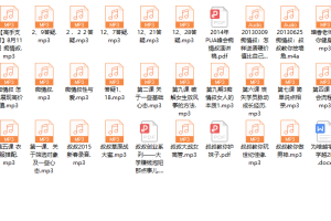 痴情叔内部YY音频