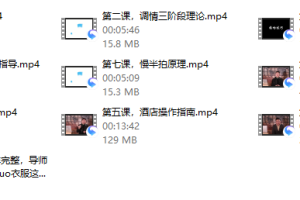 情叔叔 《入房术》