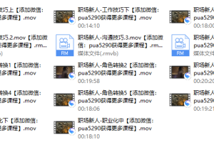 人生赢家——职场新人视频课