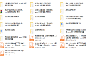 实战全案课程（配讲解）