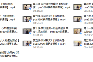 泰阳《极致·把妹1.0》