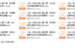 泰阳团队《这一句怎么回》