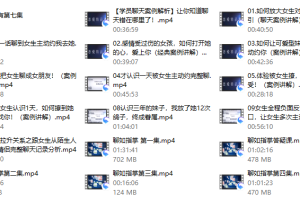 爱上情感《聊如指掌1.0》