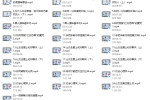 萱萱情感-付费专栏《28天脱单秘籍》