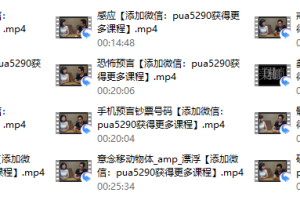 源靖 ICRS社交魔术