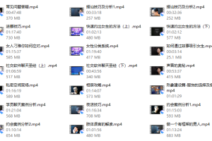 2018年陈大力《现场游戏大师1.0》