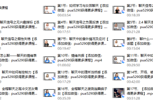 路易团队《聊法》聊天课