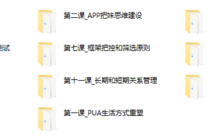 路易团队承情2015年网络课