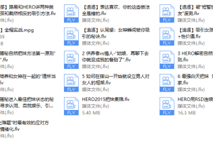 路易团队公开课