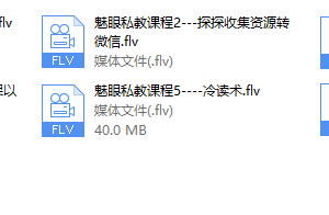 魅眼私教课程（完结）