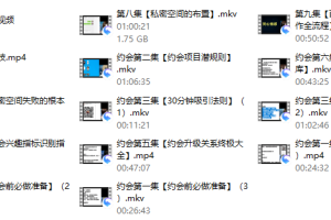 梵公子《约会加速器》