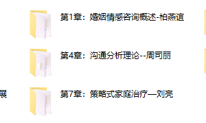 婚姻情感&家庭咨询技能大全