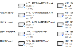 脱单大师-无极神聊术2.0