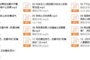 一个人听的恋爱技巧（完结）