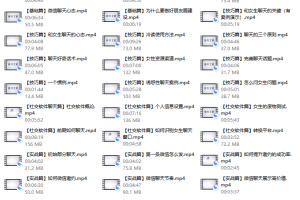 安小妖团队《聊天宝典》