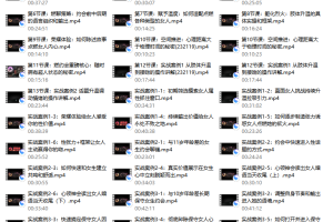 燃约会【1.0理论篇13集+实战篇20集】（超清版）