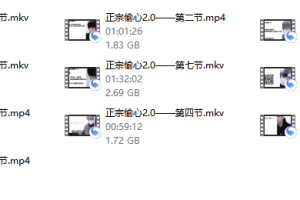 正宗偷心神聊2.0
