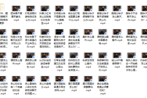 绅士派《熊猫内部课》