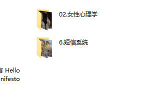 瓦伦蒂诺 隐型游戏