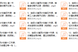 乌鸦救赎连招3.0《传承人 灌顶计划》完结