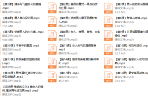 甄琦学长-成功男人的情感刚需