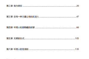 坏男人模式（电子版）