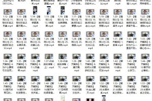 天边的老白《情场高手》