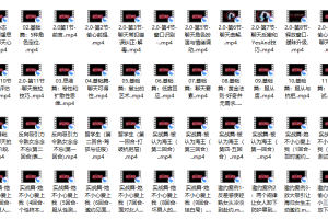 搭讪大师 良叔《偷心聊法Plus》
