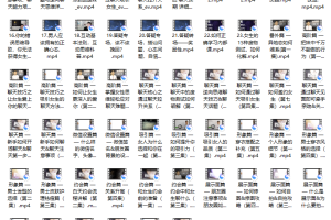 爱上情感：恋爱方法（VIP课程 ）